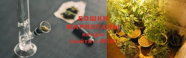 прущий лед Лиски