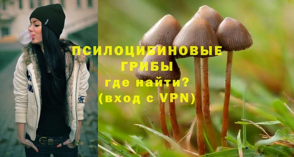синтетический гашиш Лихославль