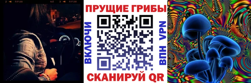 Купить закладки Сертолово Галлюциногенные грибы мухоморы